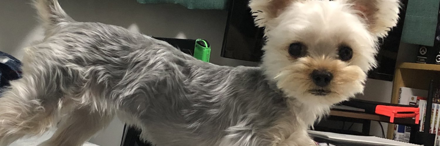 げろいかぷん banner