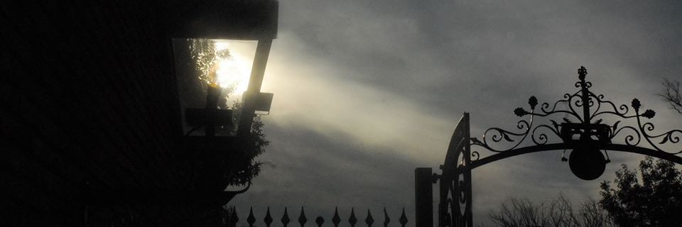limischuk's profile banner image