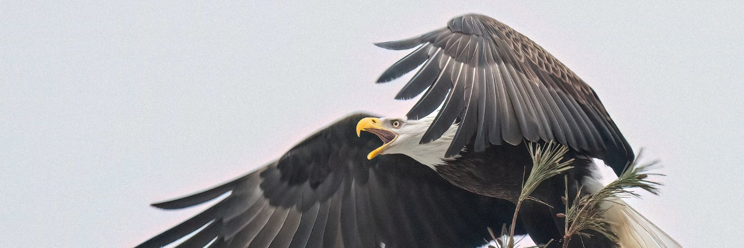 johncgreen's profile banner image