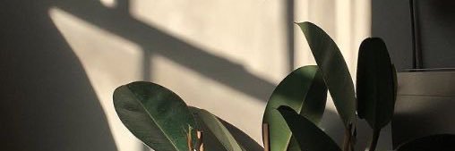 gracecherryy's profile banner image