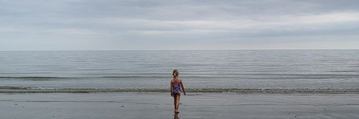 michelle green banner