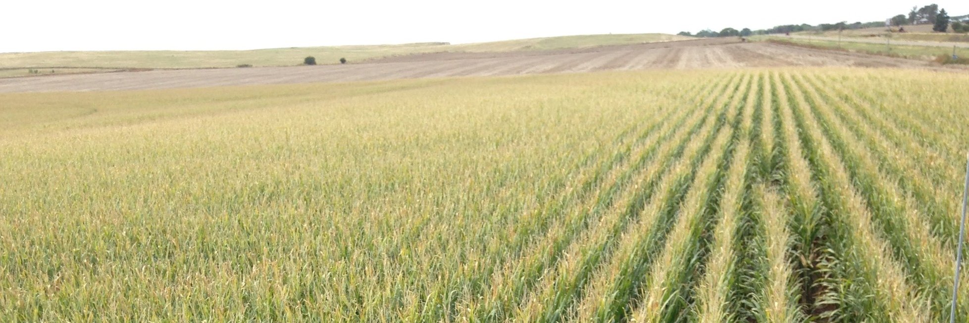 Baileyseed3's profile banner image
