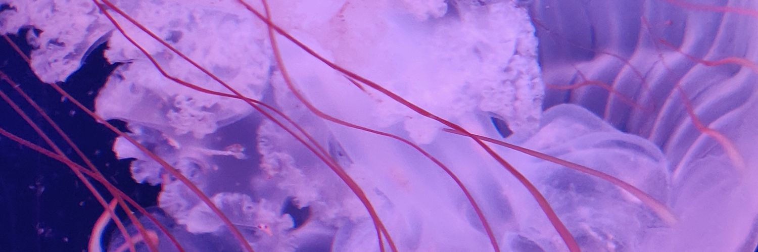 pommecarle's profile banner image