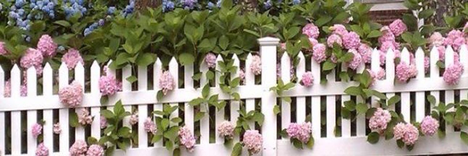 باسمة banner