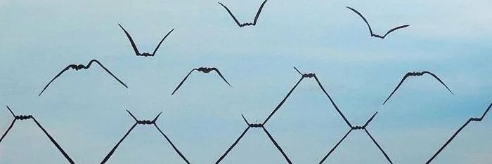 Lazy Scribbler banner