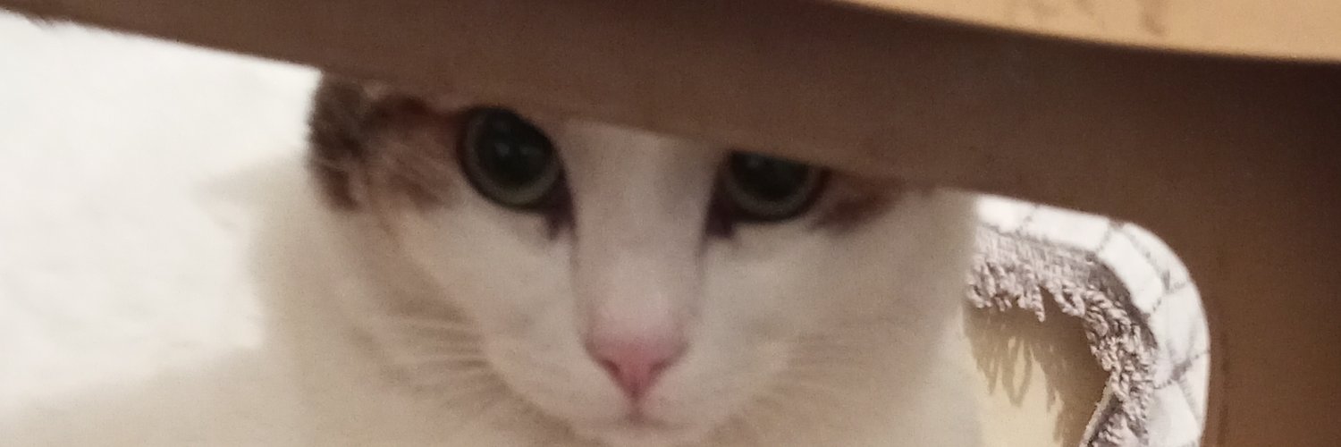 ekilem's profile banner image