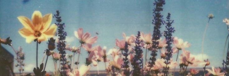 ANGEL. banner