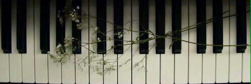 yoland1_'s profile banner image