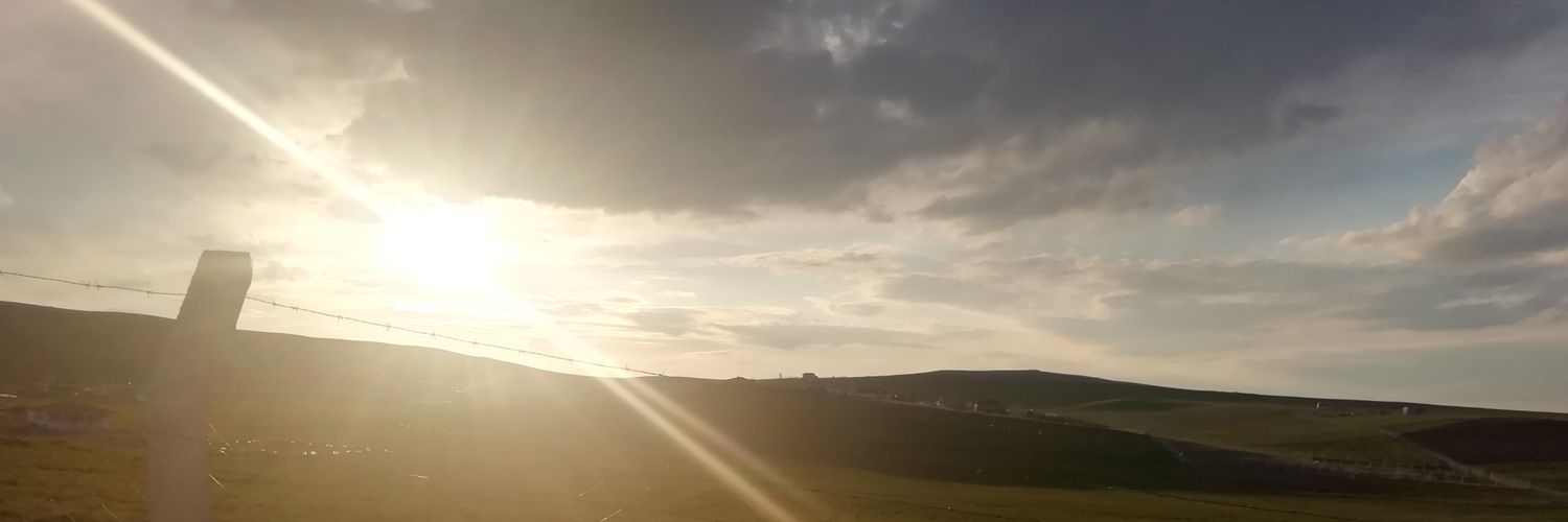 Meral Yıldırım banner