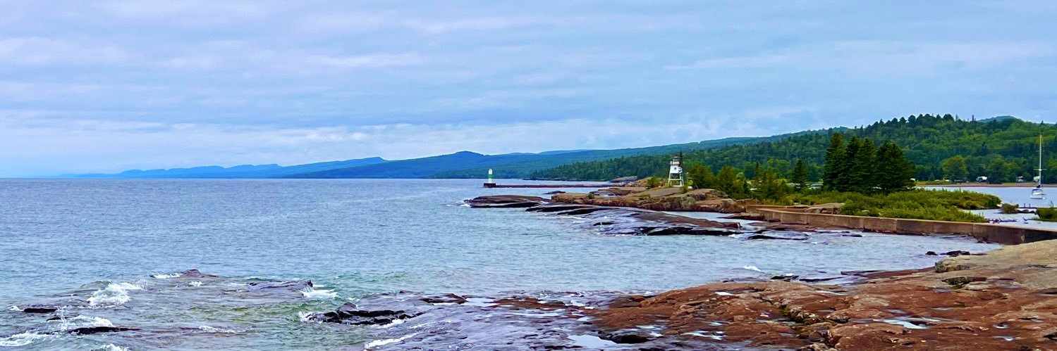 Temmi Temmerson banner