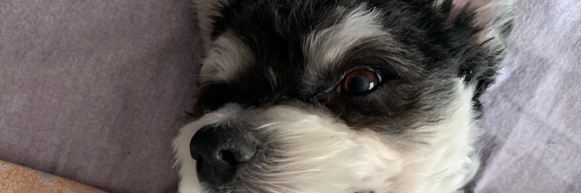 makjones77's profile banner image