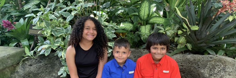 LauraZamarripa1's profile banner image