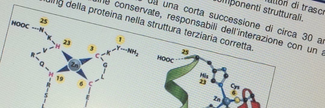 federicospacer's profile banner image