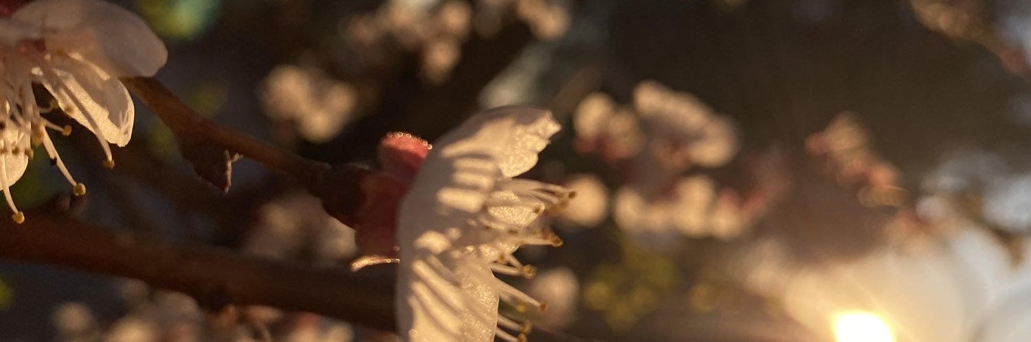Hoorneit's profile banner image