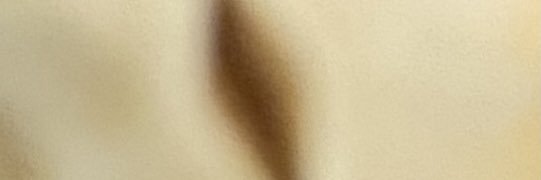 mexporn's profile banner image