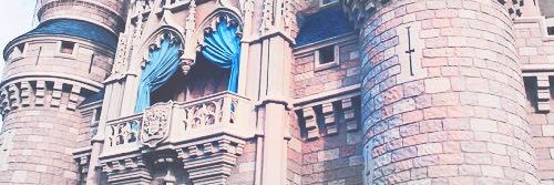 __talia____'s profile banner image