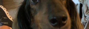 ccthomp's profile banner image
