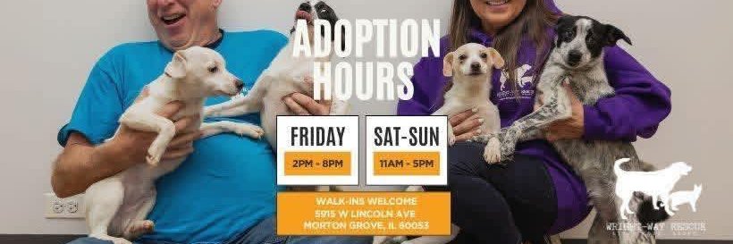 WrightWayRescue's profile banner image