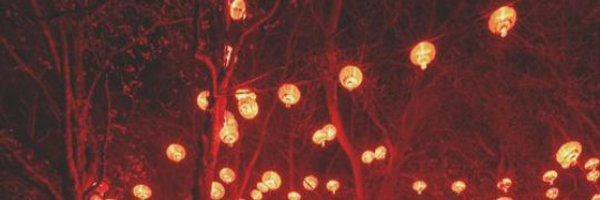 CalebPierceLWHS's profile banner image