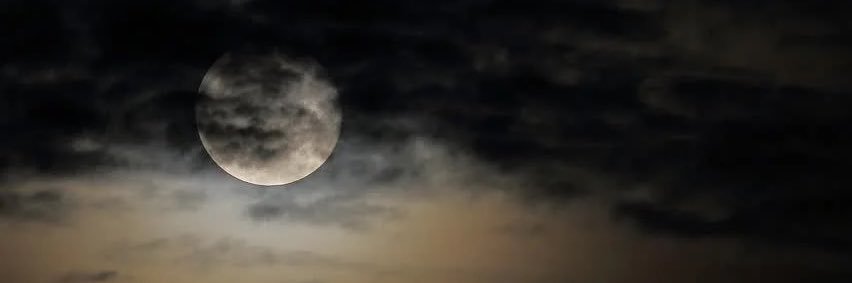 oreo_minis's profile banner image