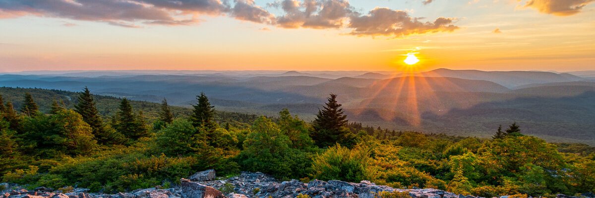 AvonTrades's profile banner image