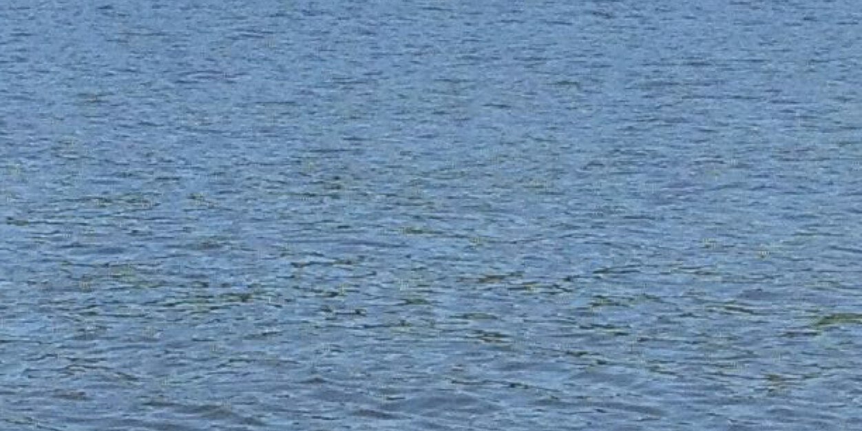 eskantor's profile banner image
