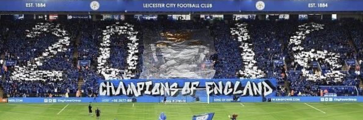 Wayne Holland 🦊🦊💚💛 banner