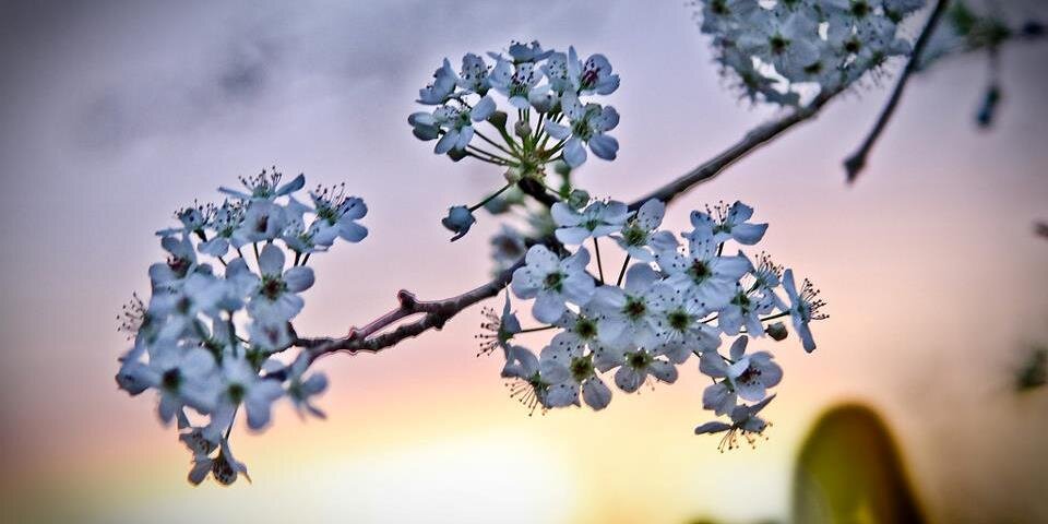 Mardella Sunshine ☀ banner