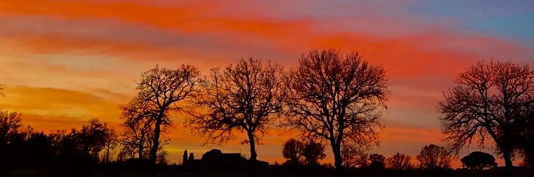 Giuse_Barbieri's profile banner image