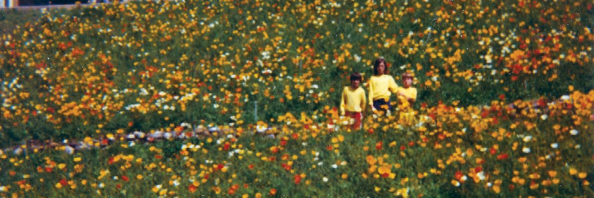 altameda780's profile banner image