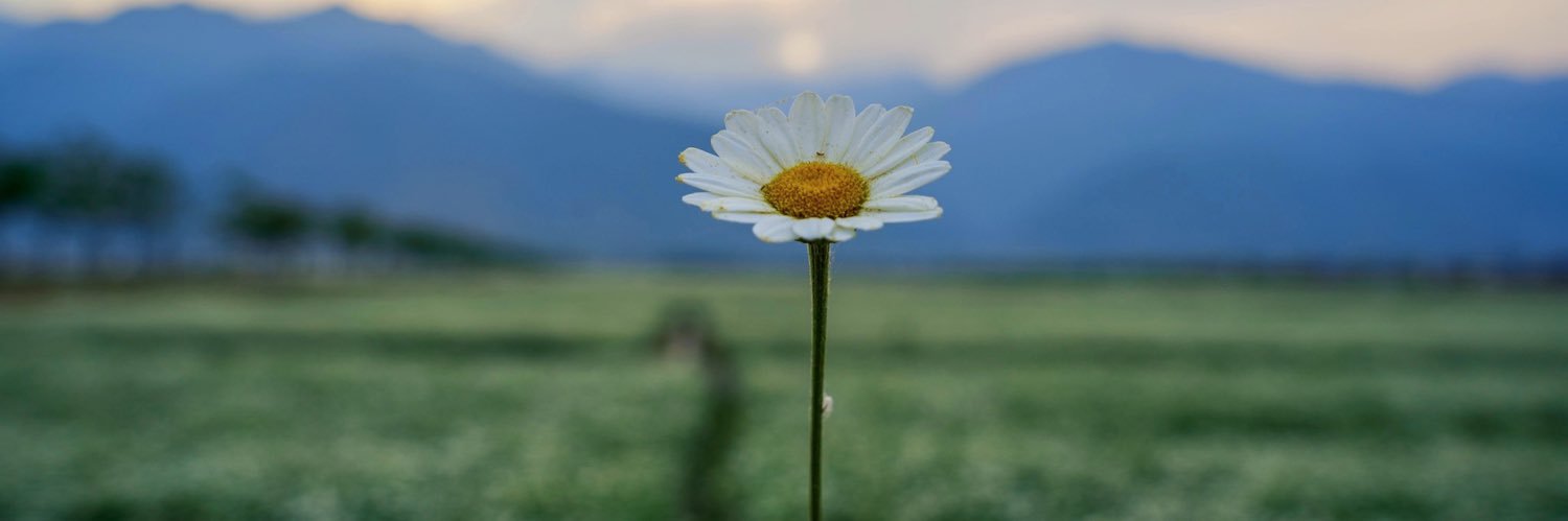 djsakya's profile banner image