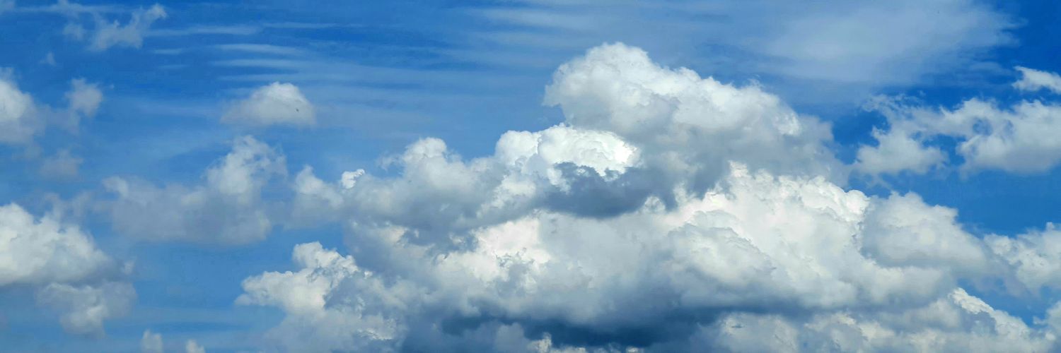 Monica Billio banner