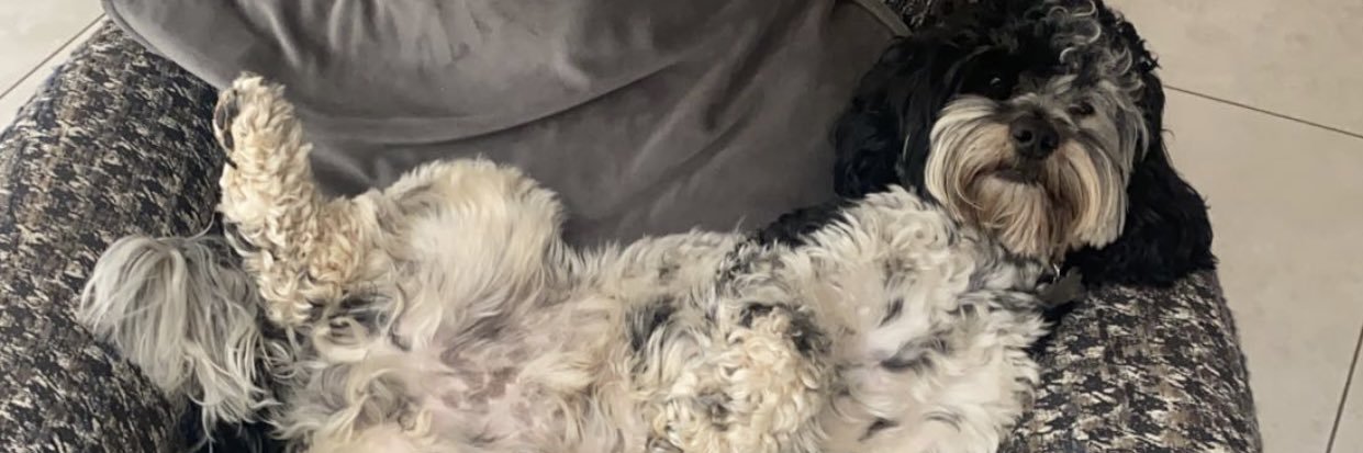Jordlong_'s profile banner image