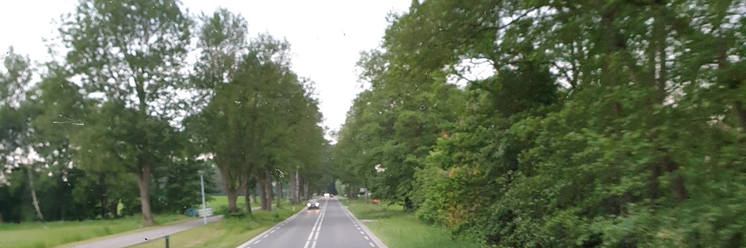ℂ𝕝𝕒𝕦𝕕𝕖 𝕄 banner
