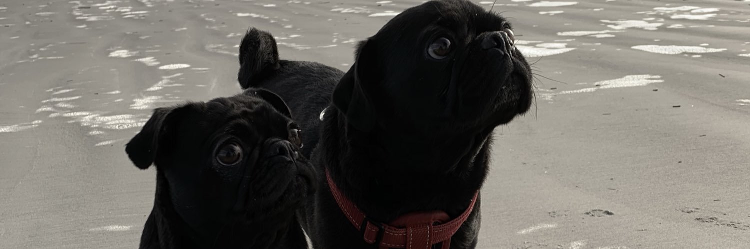 mandaleemiller3's profile banner image