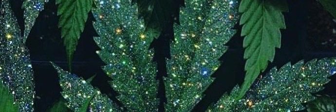 Livibee_'s profile banner image