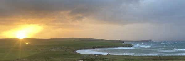 Jessie__Lilly Profile Banner