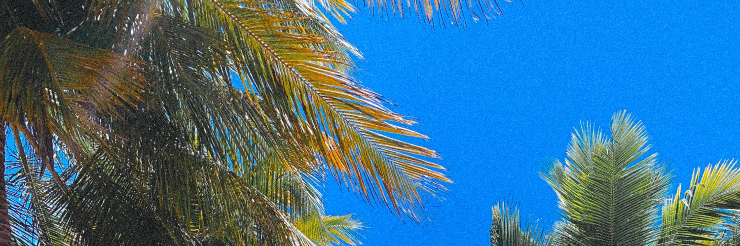 Jhonayce's profile banner image