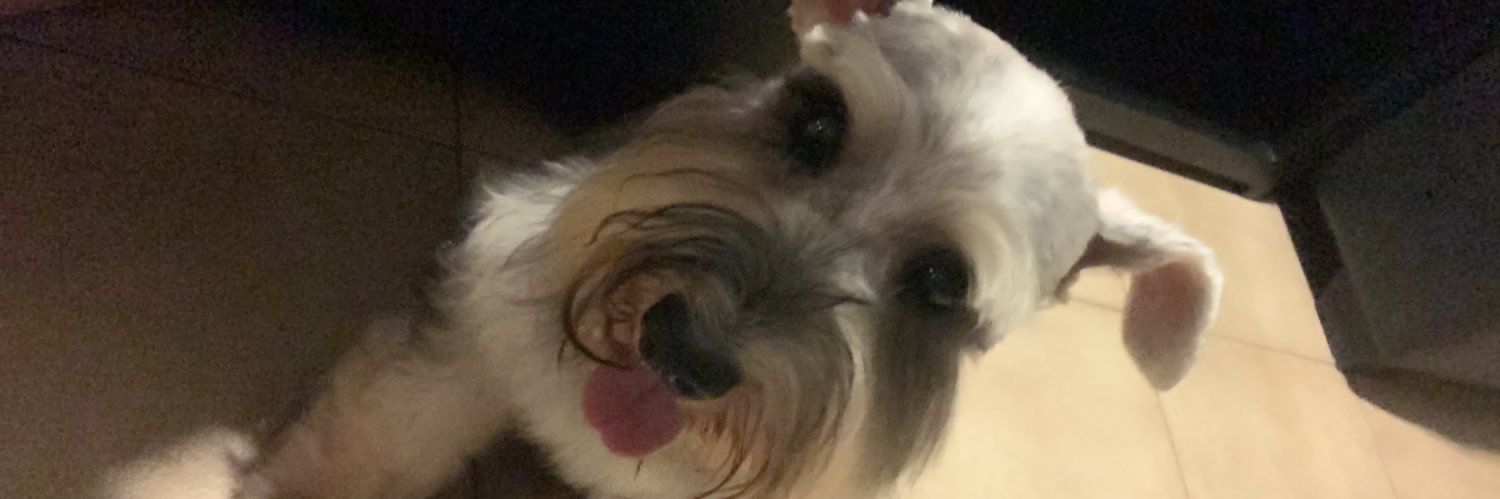 escorciari's profile banner image