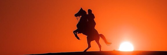 طارق بن خلف الهذيل banner