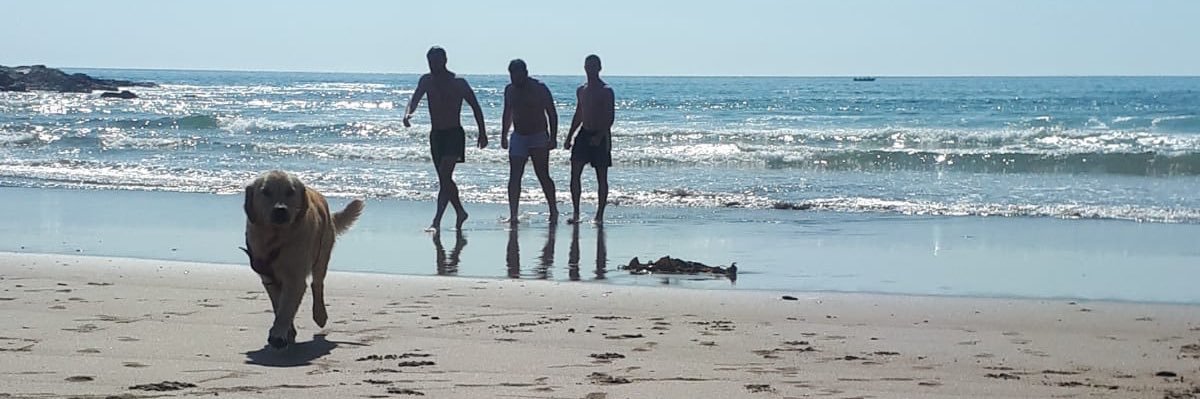 Conor Doherty banner