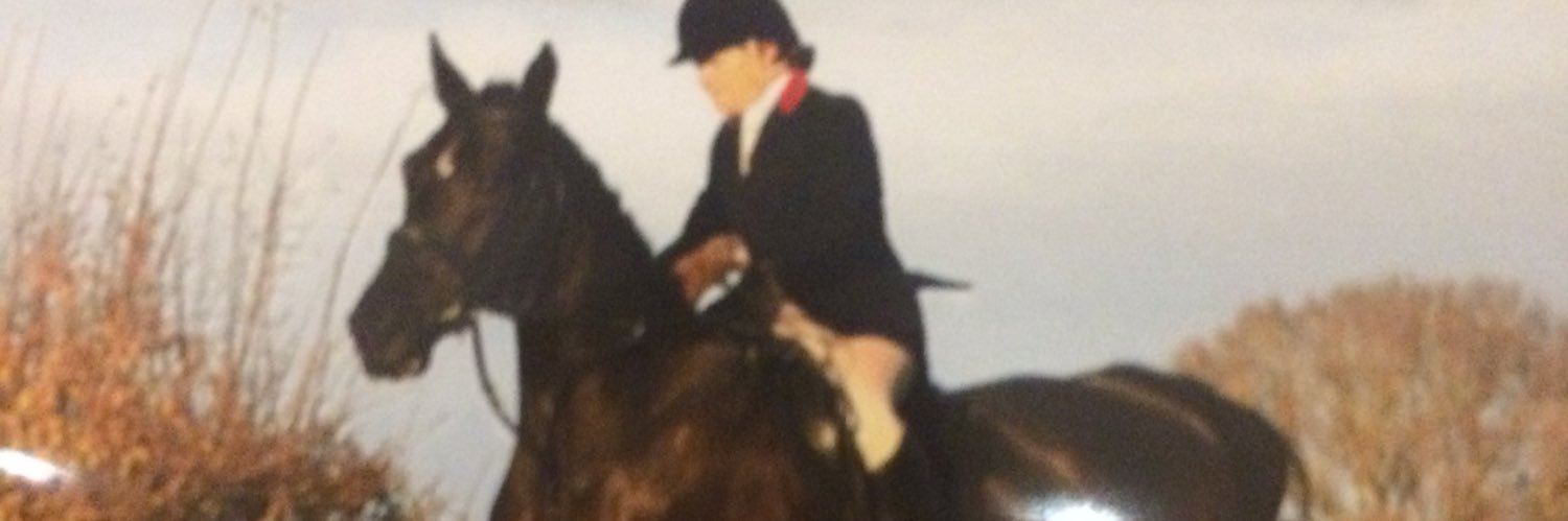 Twiglet54's profile banner image