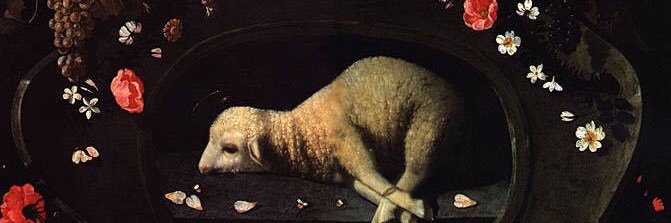 Vex Ashley 🩸 banner