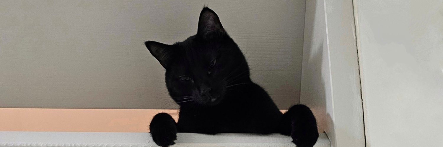 bean banner