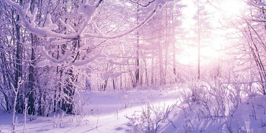 irenes_13's profile banner image