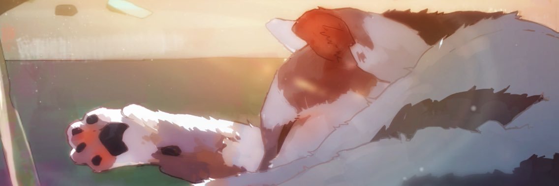 Neutral_Turtle's profile banner image