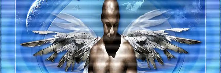 champlainpapii's profile banner image