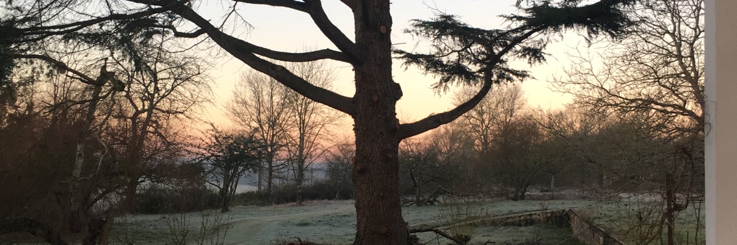 PGateaud's profile banner image