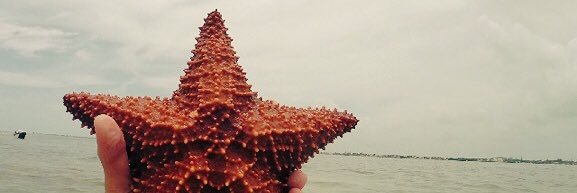 KinleyThompson's profile banner image