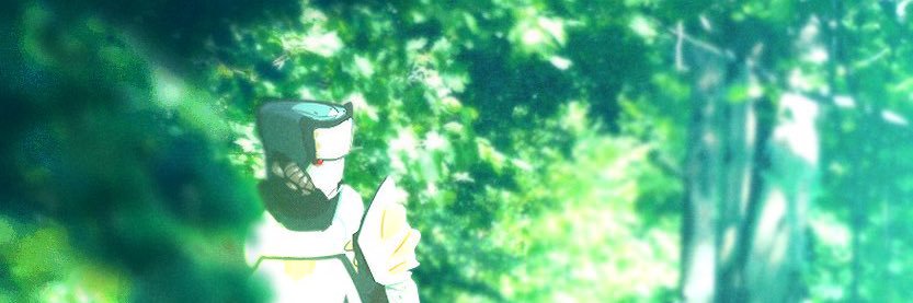 TOY's banner